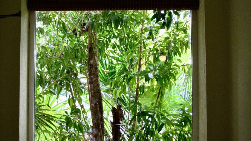 Dinomesh: 7 Best Mosquito Screen Providers in Singapore (2026) — Ranked for HDB Flats, Cat Owners, and Renters